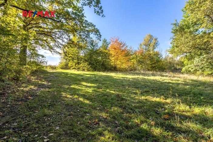 Prodej lesa, Praha - Malá Chuchle, 17570 m2