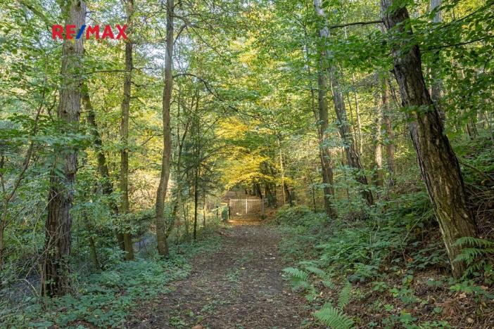 Prodej lesa, Praha - Malá Chuchle, 17570 m2