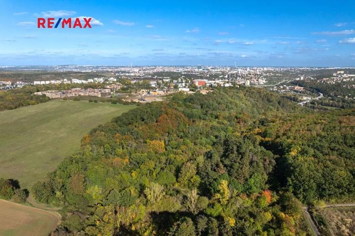 Prodej lesa, Praha - Malá Chuchle, 17570 m2