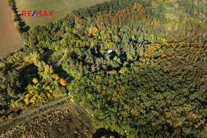 Prodej lesa, Praha - Malá Chuchle, 17570 m2