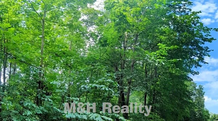 Prodej lesa, Ostravice, 7872 m2