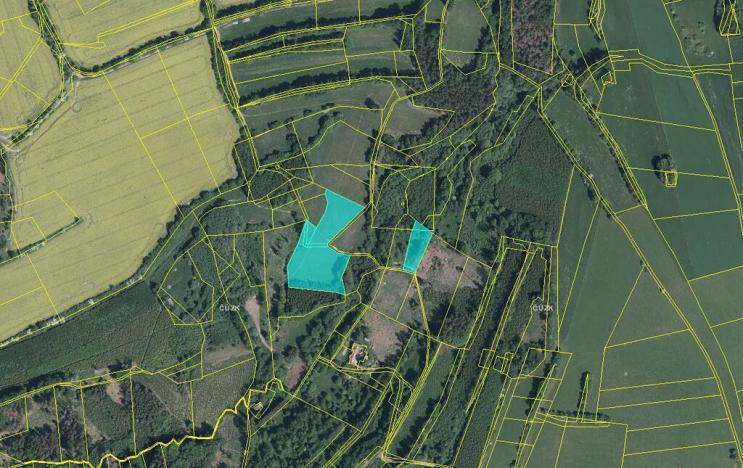 Prodej louky, Podivice, 12355 m2