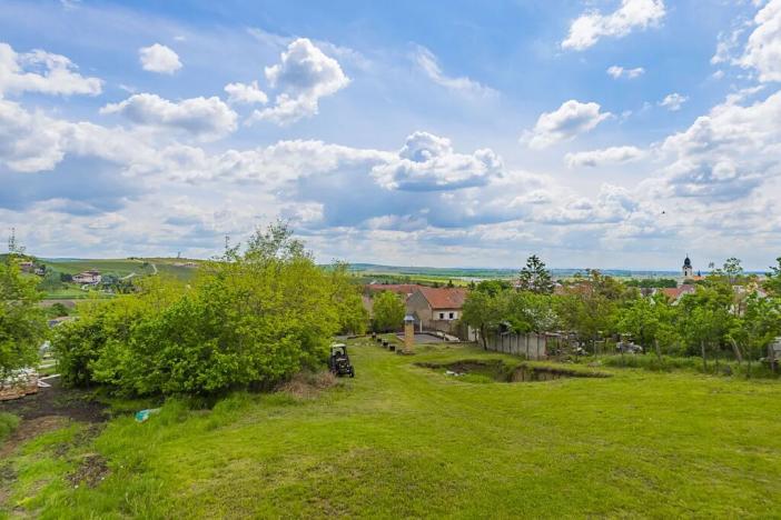 Prodej výrobních prostor, Velké Pavlovice, Trávníky, 2000 m2