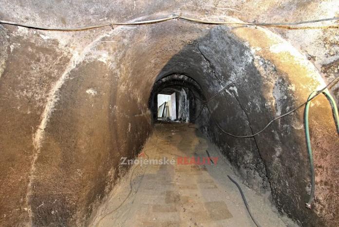 Prodej vinného sklepa, Chvalovice, 106 m2