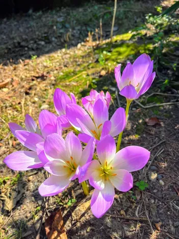 Prodej chaty, Jevíčko, 45 m2