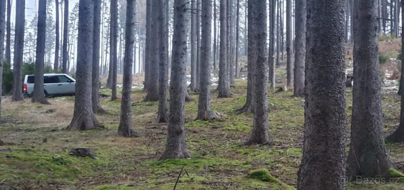 Prodej lesa, Přídolí, 8560 m2