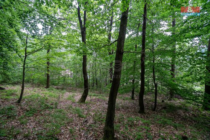 Prodej pozemku pro bydlení, Klopina - Veleboř, 439 m2