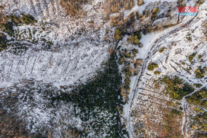 Prodej lesa, Staré Křečany, 4804 m2