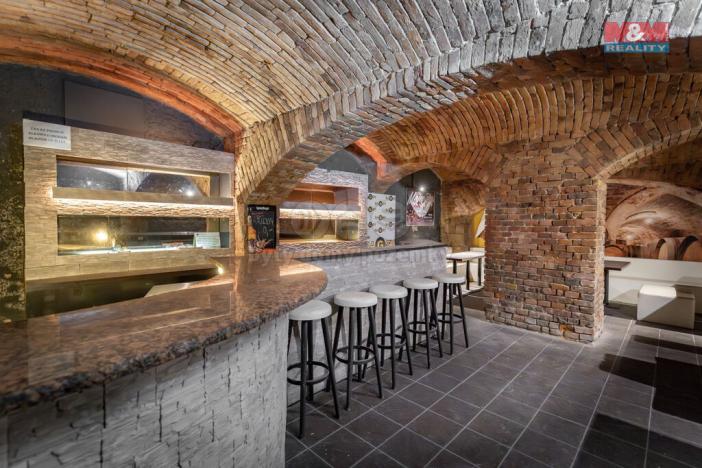 Prodej činžovního domu, Český Těšín, Sokola-Tůmy, 600 m2