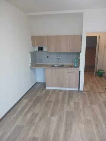 Pronájem bytu 1+kk, Praha - Braník, Nad lesním divadlem, 24 m2