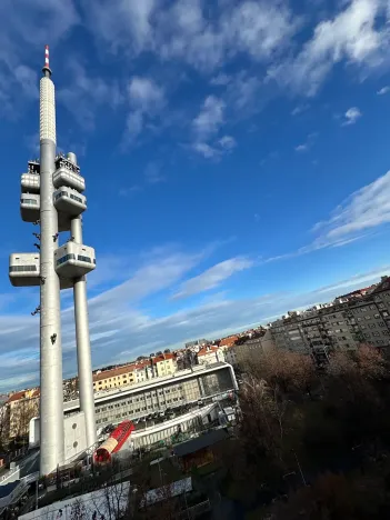 Pronájem bytu 3+kk, Praha - Žižkov, Fibichova, 90 m2