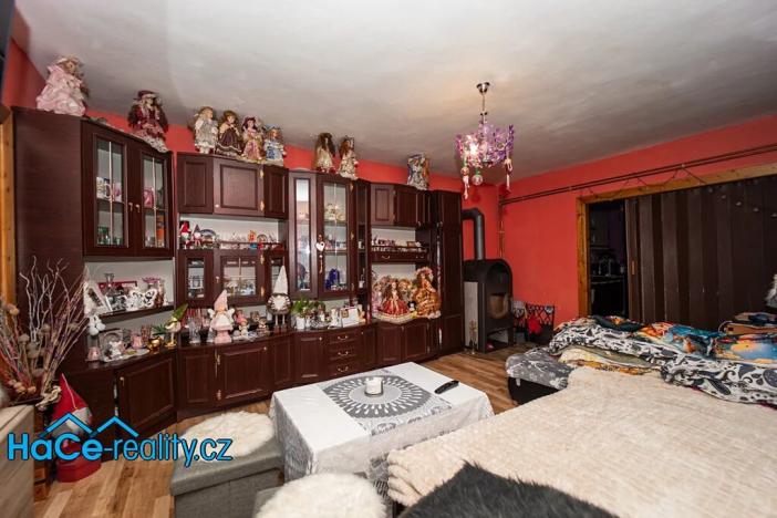 Prodej rodinného domu, Nový Ples, 320 m2