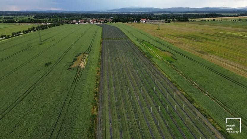 Prodej zemědělského objektu, Čejkovice, 32904 m2