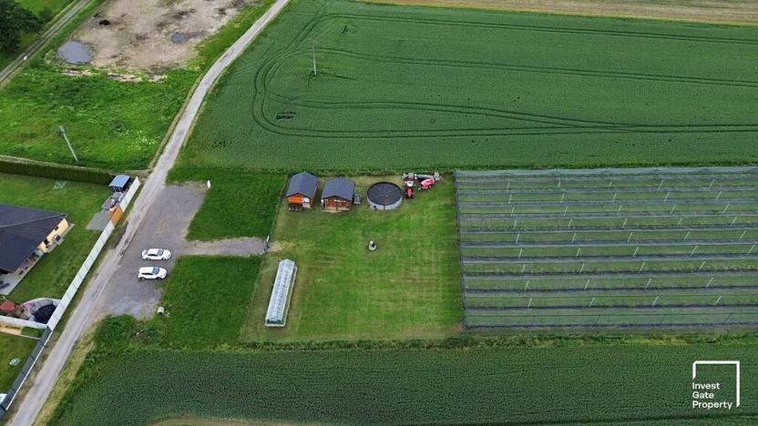 Prodej zemědělského objektu, Čejkovice, 32904 m2