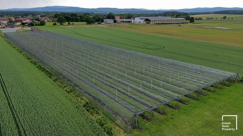 Prodej zemědělského objektu, Čejkovice, 32904 m2