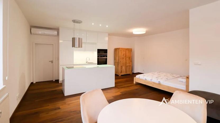 Pronájem bytu 1+kk, Brno, Kobližná, 53 m2