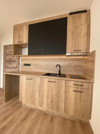 Pronájem bytu 1+kk, Most, U Věžových domů, 22 m2