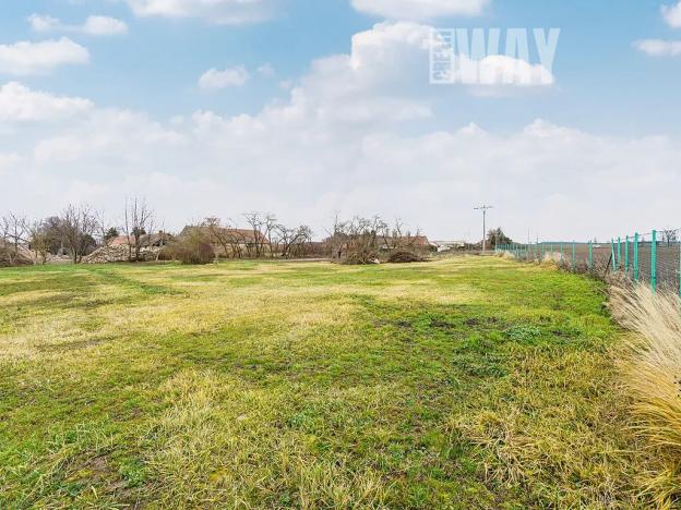 Pronájem komerčního pozemku, Kořenice, 11302 m2