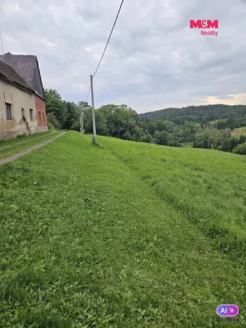 Prodej louky, Hynčina, 1787 m2