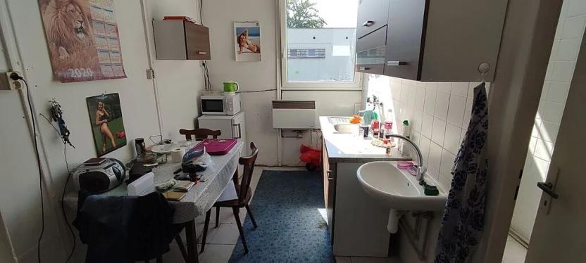 Prodej obchodního prostoru, Cheb, Lesní, 220 m2