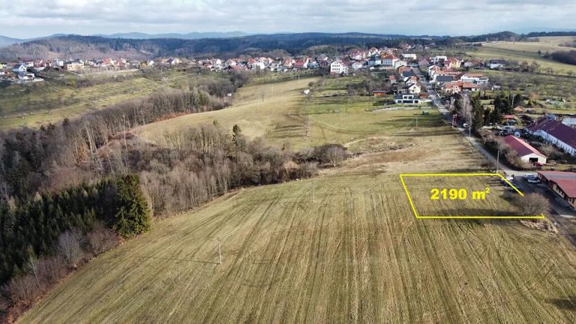 Prodej komerčního pozemku, Petrůvka, 2190 m2