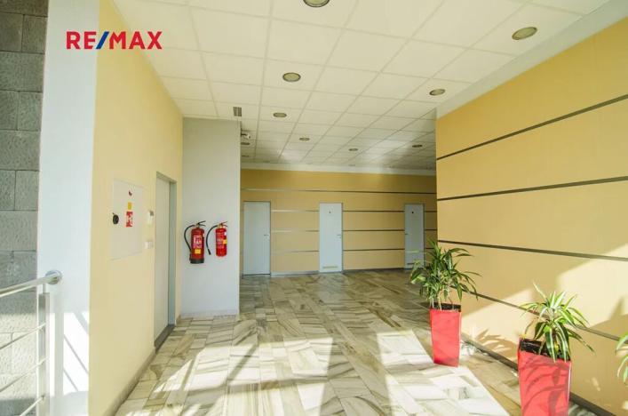 Pronájem obchodního prostoru, Svitavy, Svitavská, 81 m2