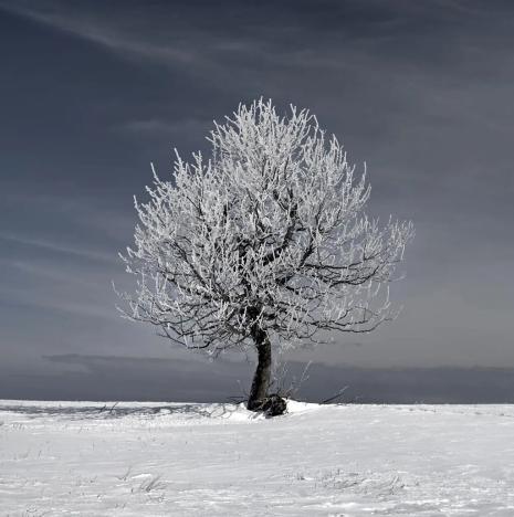 Prodej bytu 4+kk, Loučná pod Klínovcem, 99 m2