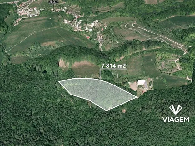 Prodej podílu lesa, Dešná, 737 m2