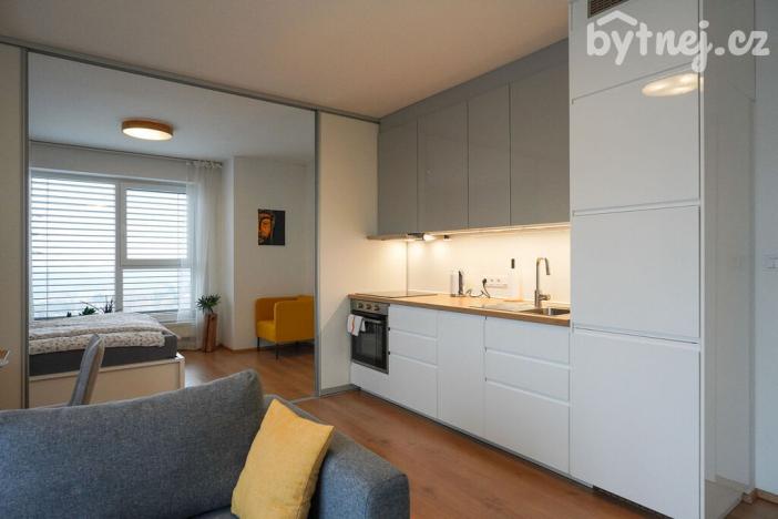 Pronájem bytu 1+kk, Praha - Hloubětín, Za černým mostem, 43 m2