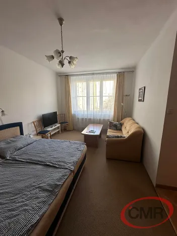 Pronájem bytu 2+kk, Praha - Vinohrady, Šrobárova, 50 m2