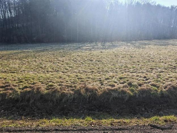 Prodej komerčního pozemku, Mírová pod Kozákovem, 1914 m2