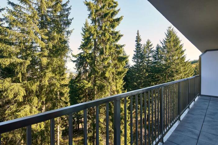 Prodej bytu 1+kk, Loučná pod Klínovcem, 32 m2