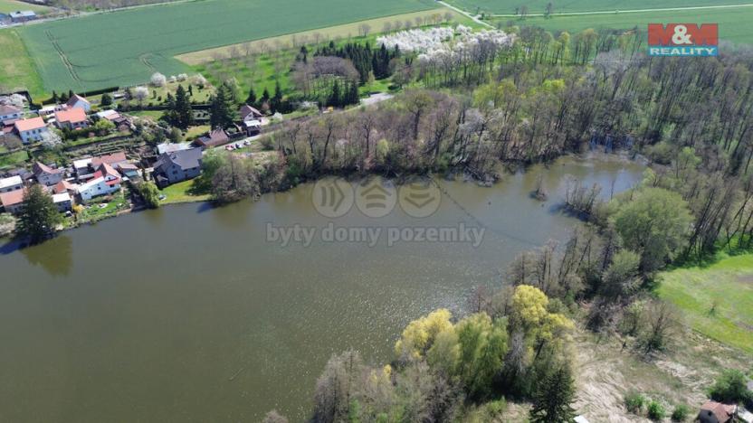 Prodej rybníku, Svojšice, 70738 m2