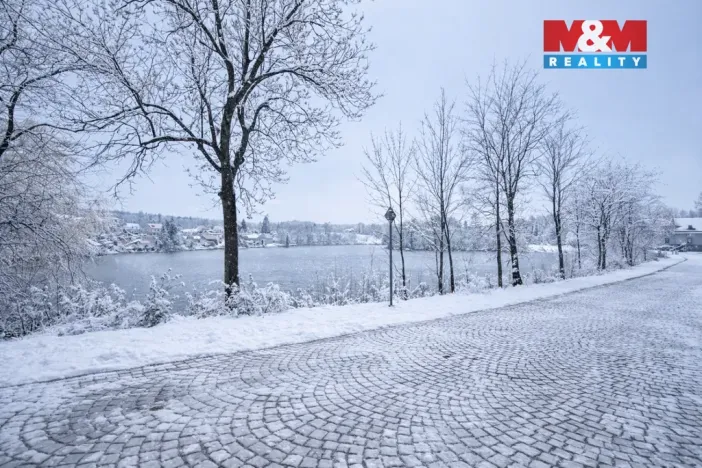 Prodej rybníku, Svojšice, 70738 m2