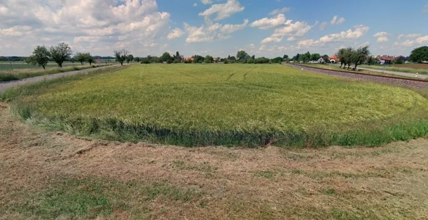 Prodej pole, Běrunice, 4729 m2