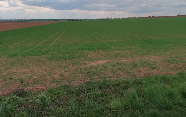 Prodej pole, Bukovno, 2775 m2