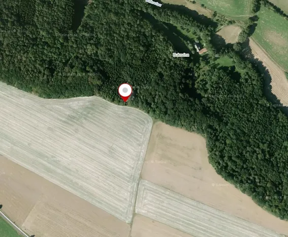 Prodej lesa, Zelenecká Lhota, 1830 m2