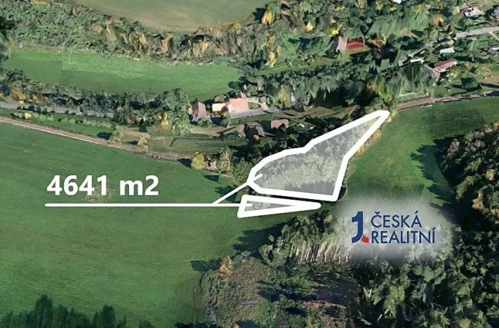 Prodej lesa, Stará Paka, 4641 m2