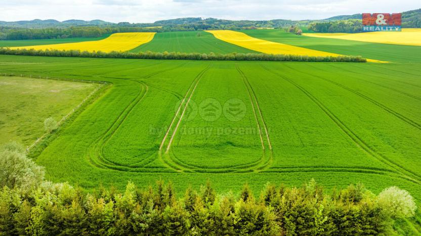 Prodej komerčního pozemku, Tachov, 33529 m2