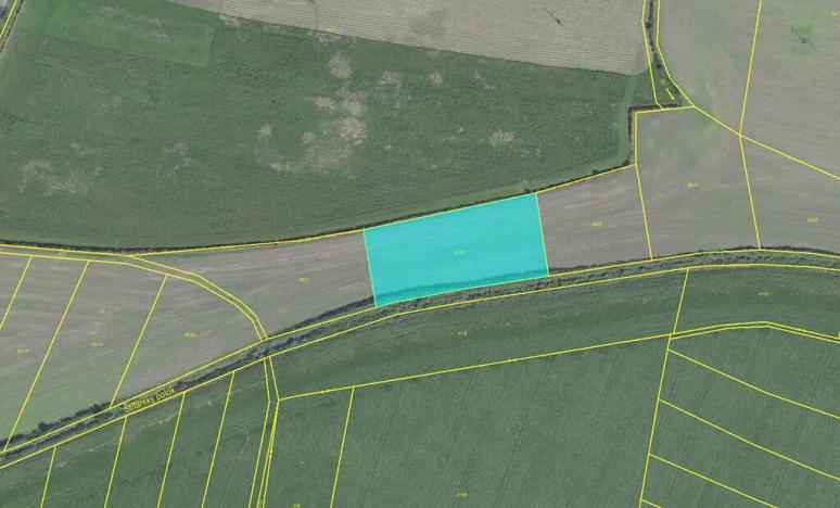 Prodej podílu pole, Kněžičky, 20083 m2