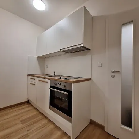 Pronájem bytu 2+1, Praha - Bubeneč, U zeměpisného ústavu, 46 m2