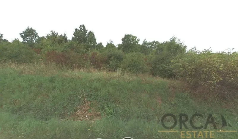 Prodej pole, Chožov, 2558 m2