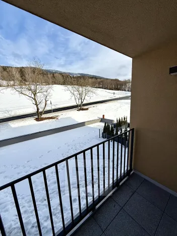 Prodej bytu 2+kk, Černý Důl, 64 m2