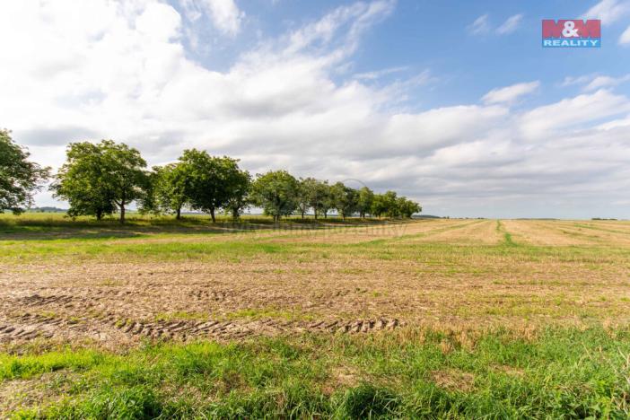 Prodej pozemku pro bydlení, Brumovice, 1964 m2