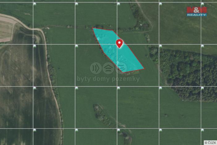 Prodej louky, Lešetice, 6006 m2