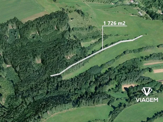 Prodej podílu lesa, Radiměř, 863 m2