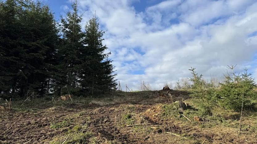 Prodej lesa, Pecka, 35108 m2