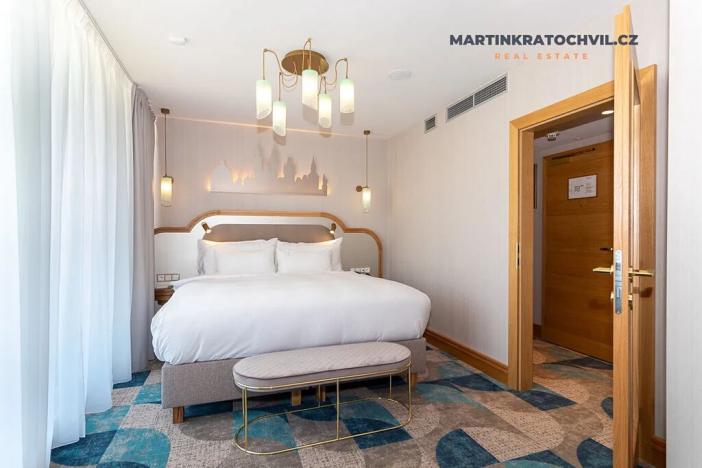 Pronájem bytu 1+kk, Praha - Staré Město, Bílkova, 29 m2