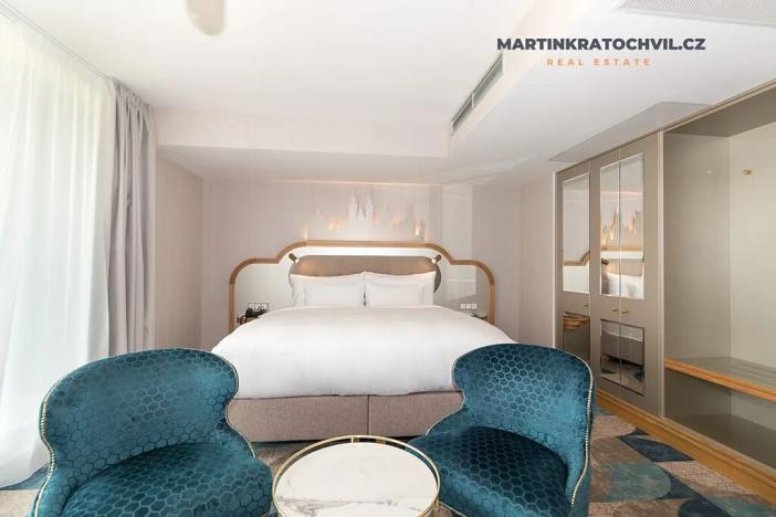 Pronájem bytu 1+kk, Praha - Staré Město, Bílkova, 29 m2