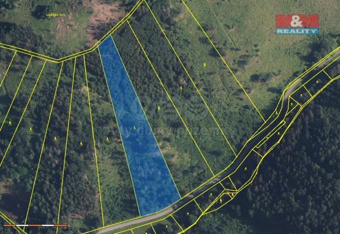 Prodej lesa, Nemile - Lupěné, 12967 m2